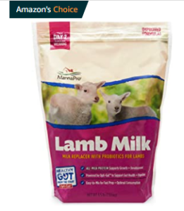 Where Can I Buy Sheep's Milk Near Me - The Livestock Expert